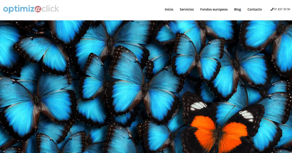 Mejores Agencias SEO de España en 2026 – Ranking de las Top 15 13 OptimizaClick – SEO Local e Hiper-segmentación